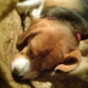 Meet your Posher, Pam